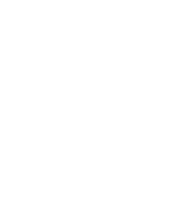 Logo du jeu Star Citizen